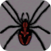 THE SPIDER